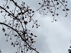 -广东外语外贸大学(白云山校区)