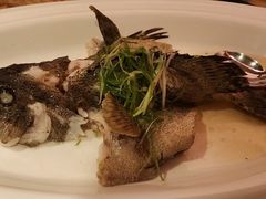 -万豪中餐厅·粤菜·北京粤财JW万豪酒店
