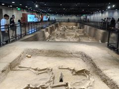 -洛阳周王城天子驾六博物馆