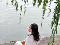 -紫霞湖公园