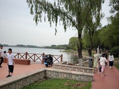 -丁香湖公园