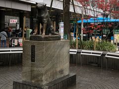 -涩谷区
