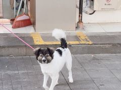 -杨记海鲜楼(三门黑金冠店)