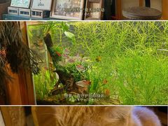 -懒鱼时光馆(沙坪坝店)