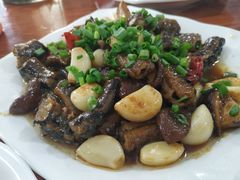 野生黄鳝-凤嫂农家乐(梁弄店)