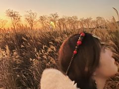 -光明小镇欢乐田园