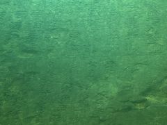 -白鹤梁水下博物馆