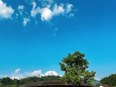 -福建土楼（华安）旅游区•大地土楼群