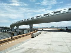 -演武大桥观景平台