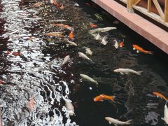 -侠成水上农庄(工业大道店)