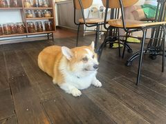 -肥朵食堂(带梦胡同店)