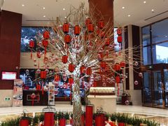 -上海圣淘沙万怡酒店