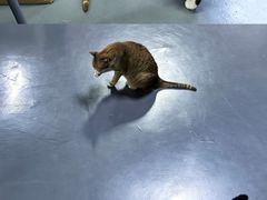 -蓝天射箭馆·专业射箭运动(诚丰广场店)