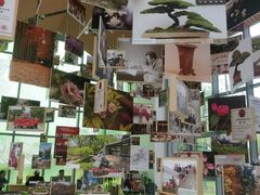 -上海植物园-4号门售票处