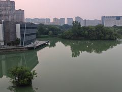 -青枫公园
