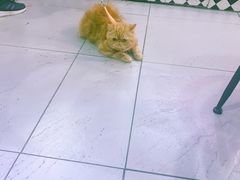 -桂源铺(亚新广场店)