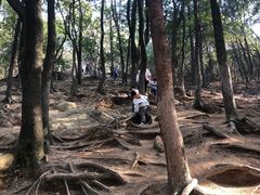 -灵岩山风景区