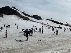-北京莲花山滑雪场