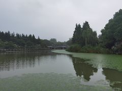 -水上明月·湖景餐厅