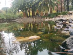 -苏州河梦清园环保主题公园