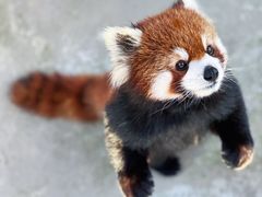 -杭州野生动物世界