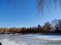 -团结湖公园