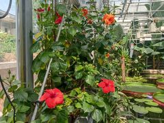 -国家植物园南园