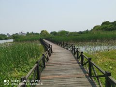 -梁鸿国家湿地公园