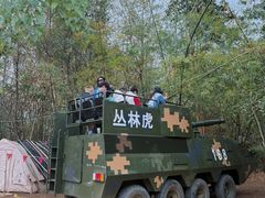 -西双版纳原始森林公园