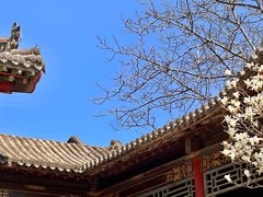 -碑林公园