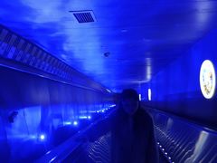 -白鹤梁水下博物馆
