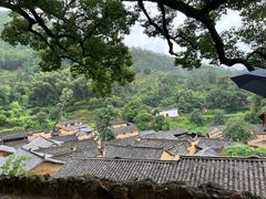 -杨家堂村