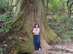 -天目山大树王景区