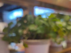 -香约老地方烧烤(九道街店)