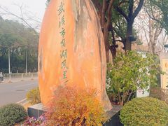 -月湖风景区