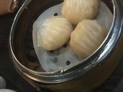 -糖朝(尖沙咀店)