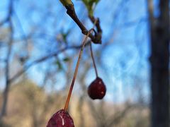 -北京鹫峰国家森林公园