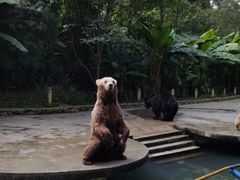 -贵州森林野生动物园