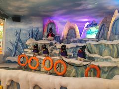 -帝企鹅自助餐厅•儿童岛•真企鹅(长隆企鹅酒店)