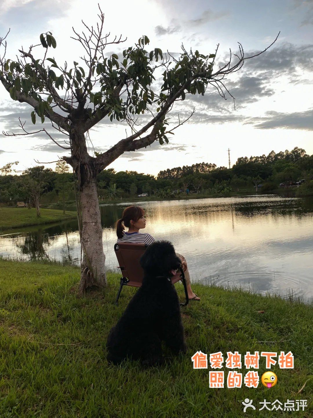 野营之松山湖站！