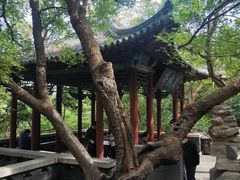 -千佛山风景名胜区
