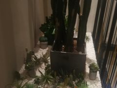 -大树餐厅(红旗街万达店)