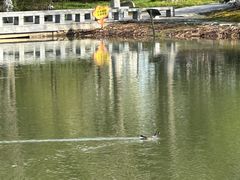 -白塘生态植物园