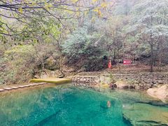 -白云源风景区