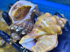 -震海贝烤贝·民俗特色店(延吉总店)
