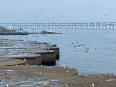 -星海广场