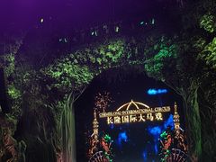 -广州长隆国际大马戏