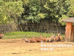 -杭州野生动物世界