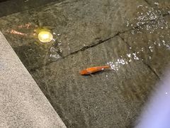-新沸腾鱼乡(世贸天阶店)