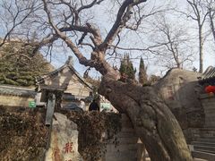 -青岛崂山太清宫